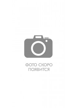 Брюки СИРИУС-ТЕРМИНАЛ-3-РОСС оранжевые с тёмно-синим 215 гр/м2, 50% ПЭ, 50% ХБ Брюки СИРИУС-ТЕРМИНАЛ-3-РОСС оранжевые с тёмно-синим 215 гр/м2, 50% ПЭ, 50% ХБ